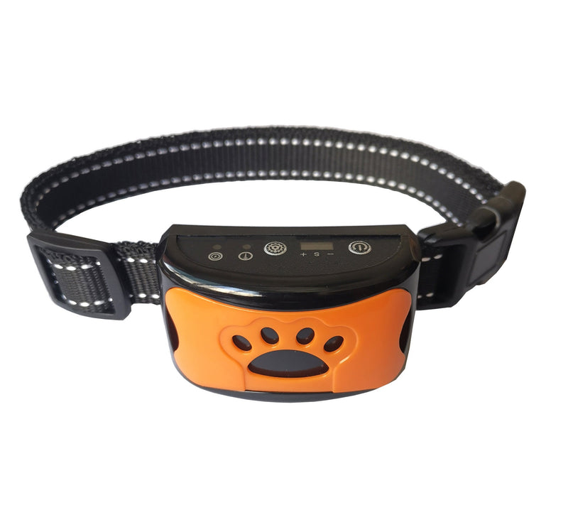 Antibell Halsband | Tierfreundlich Kompakt Sanft Komfortabel Training-Orange-Luzern Mode