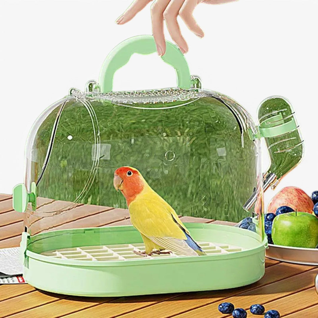 Vogel Reis Käfig | Transparent | Stabil | Ausziehbar | Leichtgewicht-Luzern Mode