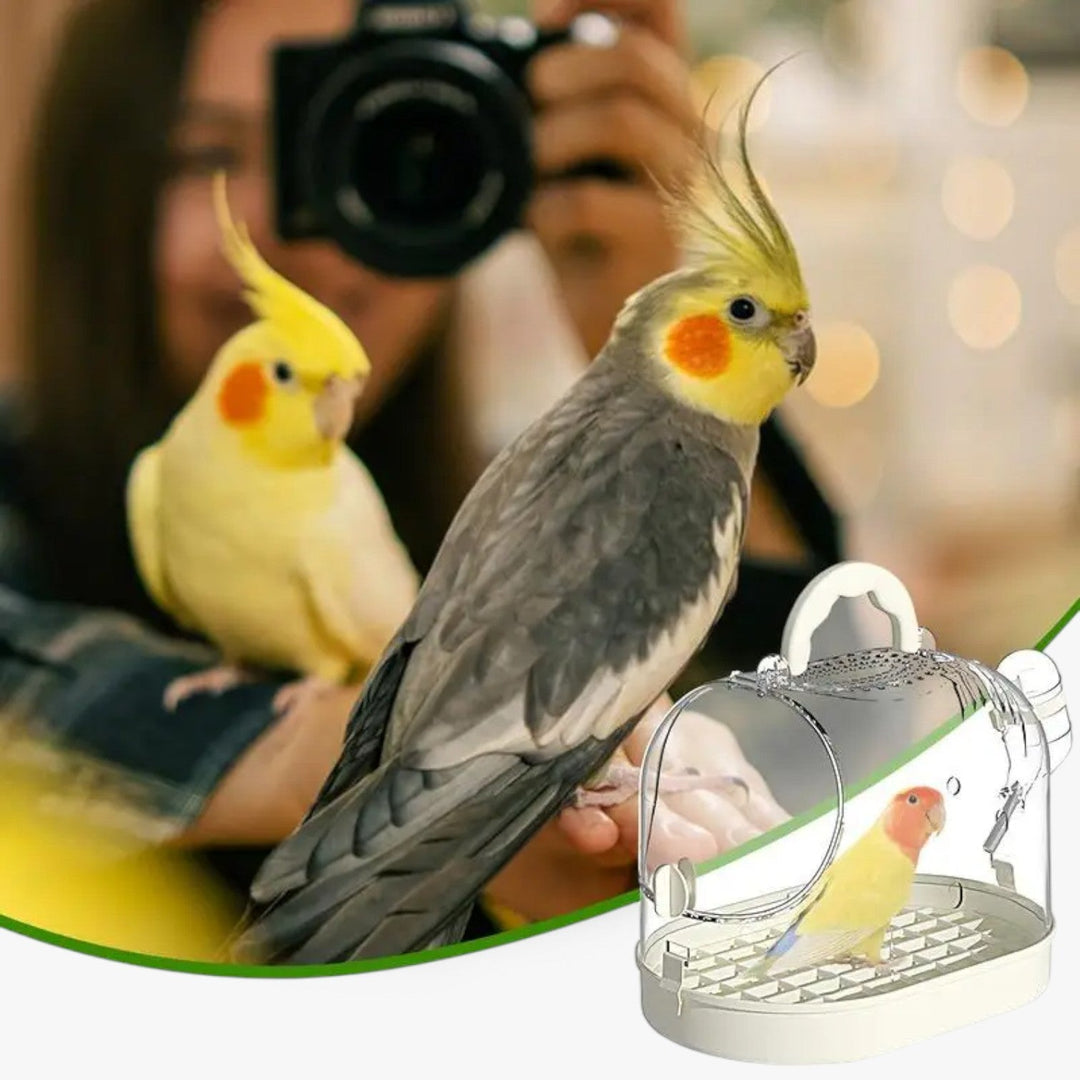 Vogel Reis Käfig | Transparent | Stabil | Ausziehbar | Leichtgewicht-Luzern Mode