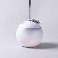 Tragbare Vintage Campinglampe - NightSphere