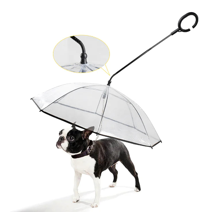 Hunde-Regenschirm | Transparent Innovativ Langlebig Wasserdicht Komfortabel-Luzern Mode