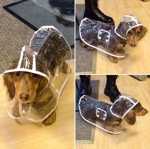 Hundenregenjacke | Transparent Wasserdicht PVC Langlebig Verstellbar-Luzern Mode