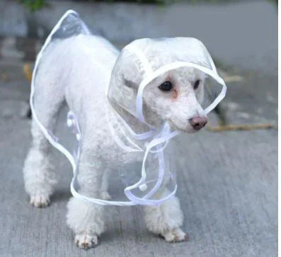 Hundenregenjacke | Transparent Wasserdicht PVC Langlebig Verstellbar-Luzern Mode