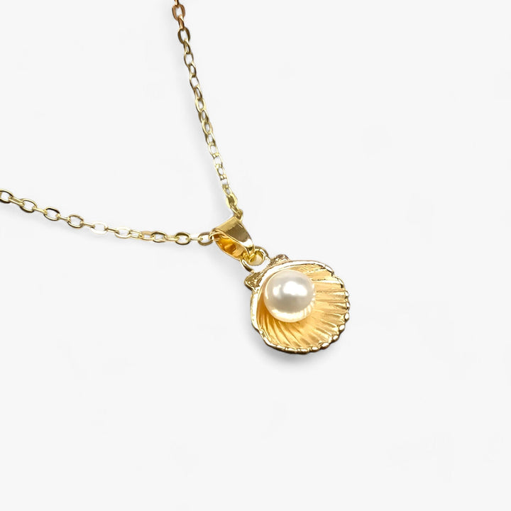 Halskette | Perle Muschel Silber Stilvoll Langlebig Vielseitig Modisch-Goldene Muschel-Luzern Mode