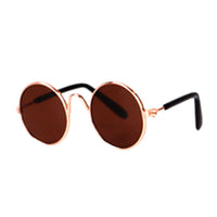 Katzenbrille | Niedlich Stilvoll Modisch Robust Langlebig-Luzern Mode