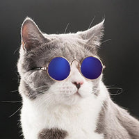 Katzenbrille | Niedlich Stilvoll Modisch Robust Langlebig-Luzern Mode