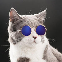 Katzenbrille | Niedlich Stilvoll Modisch Robust Langlebig-Luzern Mode