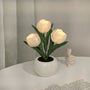 Tulpenförmige Lampe | Bouquet | LED | USB-C | Bunt | Hitzebeständig-3 Weiße-Batterien-Luzern Mode