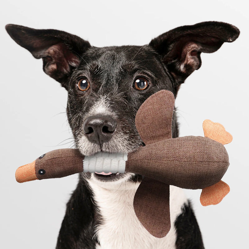 Hundespielzeug | Gans Unverwüstlich Kausicher Langlebig Stark-Luzern Mode