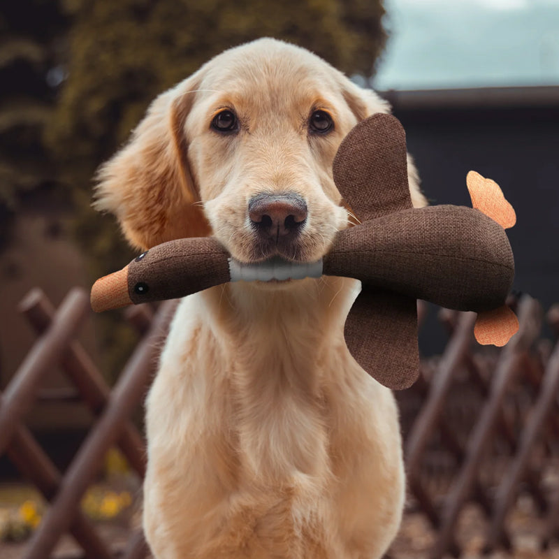 Hundespielzeug | Gans Unverwüstlich Kausicher Langlebig Stark-Luzern Mode
