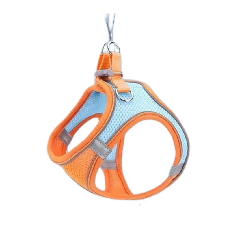 Katzengeschirr | Verstellbar | Mit Leine | Sicher | Reflektierend | Nylon-Orange-XS - 0.5 tot 3 kg-Luzern Mode