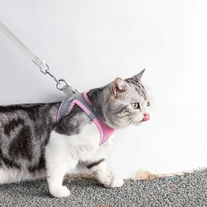 Katzengeschirr | Verstellbar | Mit Leine | Sicher | Reflektierend | Nylon-Rosa-XS - 0.5 tot 3 kg-Luzern Mode