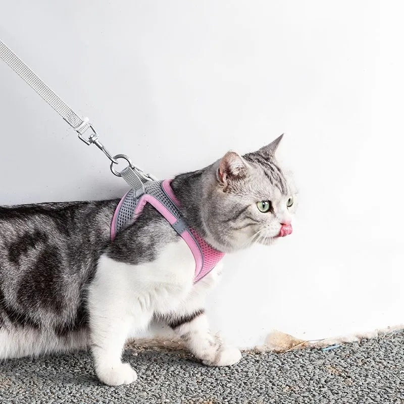 Katzengeschirr | Verstellbar | Mit Leine | Sicher | Reflektierend | Nylon-Rosa-XS - 0.5 tot 3 kg-Luzern Mode