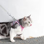 Katzengeschirr | Verstellbar | Mit Leine | Sicher | Reflektierend | Nylon-Rosa-XS - 0.5 tot 3 kg-Luzern Mode
