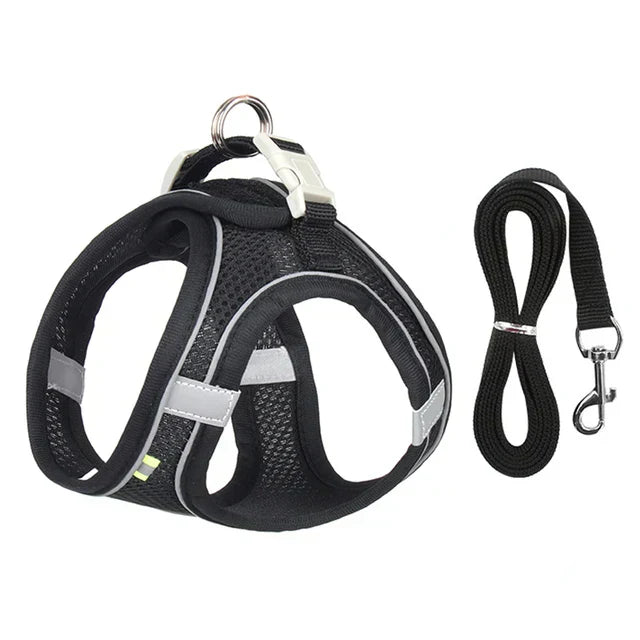 Katzengeschirr | Verstellbar | Mit Leine | Sicher | Reflektierend | Nylon-Schwarz-XS - 0.5 tot 3 kg-Luzern Mode
