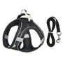 Katzengeschirr | Verstellbar | Mit Leine | Sicher | Reflektierend | Nylon-Schwarz-XS - 0.5 tot 3 kg-Luzern Mode