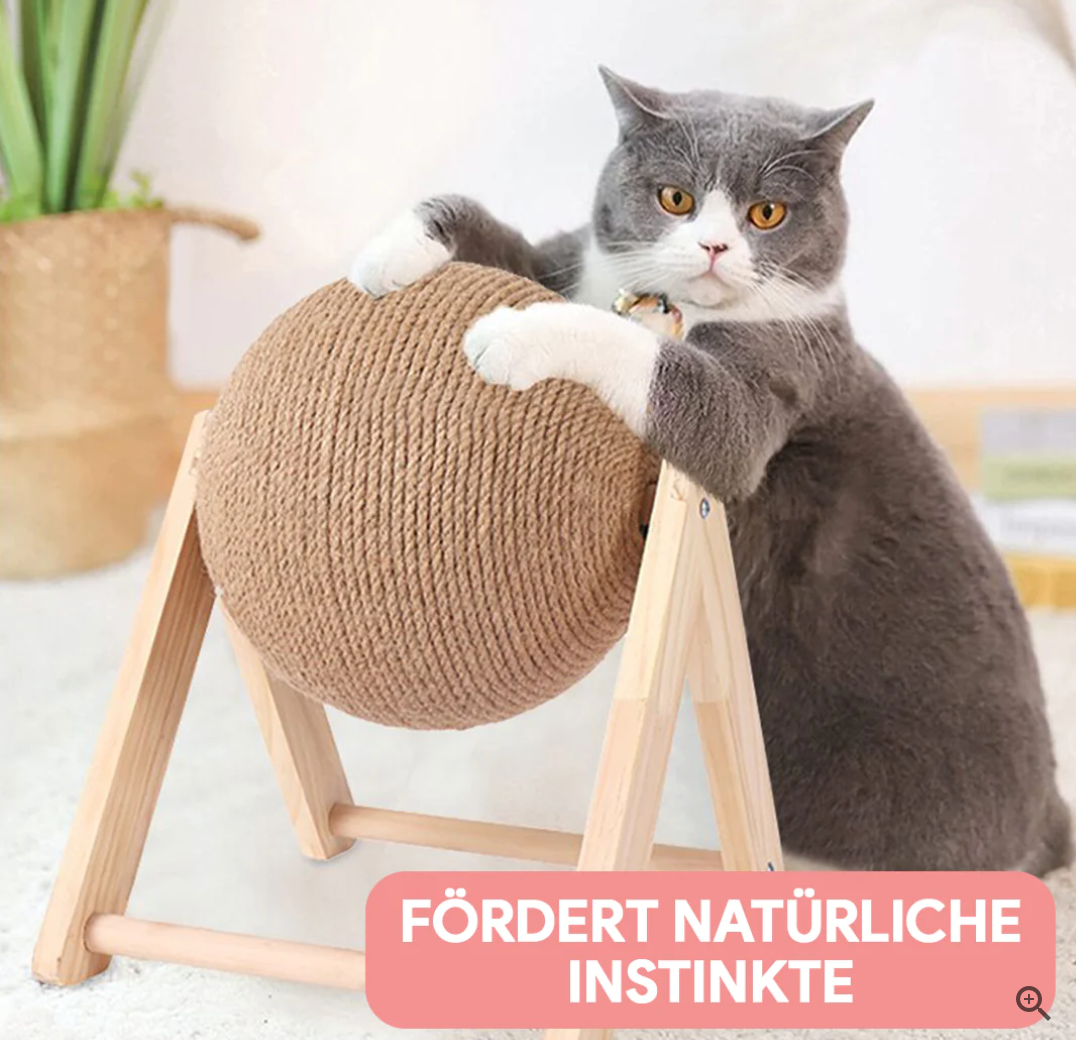 Katzenspielzeug | Vielseitig, Kratzen, Pflegen, Interaktiv, Langlebig-Luzern Mode