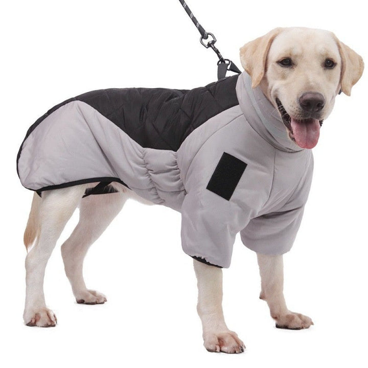 Hundejacke | Groß Wasserdicht Langlebig Bequem Warm Labrador-Luzern Mode