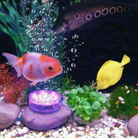 Unterwasserlampe | LED | Fernbedienung | Rund | Set von 2 | IP68-Luzern Mode