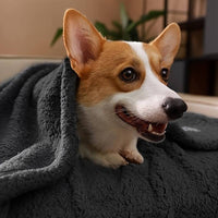 Welpendecke | Weich Fleece Vielseitig Langlebig Waschbar Komfortabel Warm-Luzern Mode