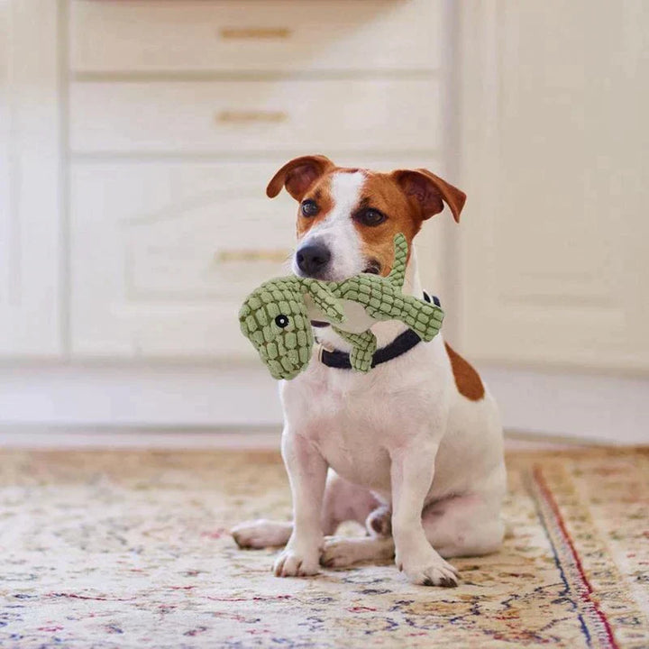 Hundeknuddler | Dino-Set Weich Langlebig Sicher Interaktiv Plüsch-Luzern Mode