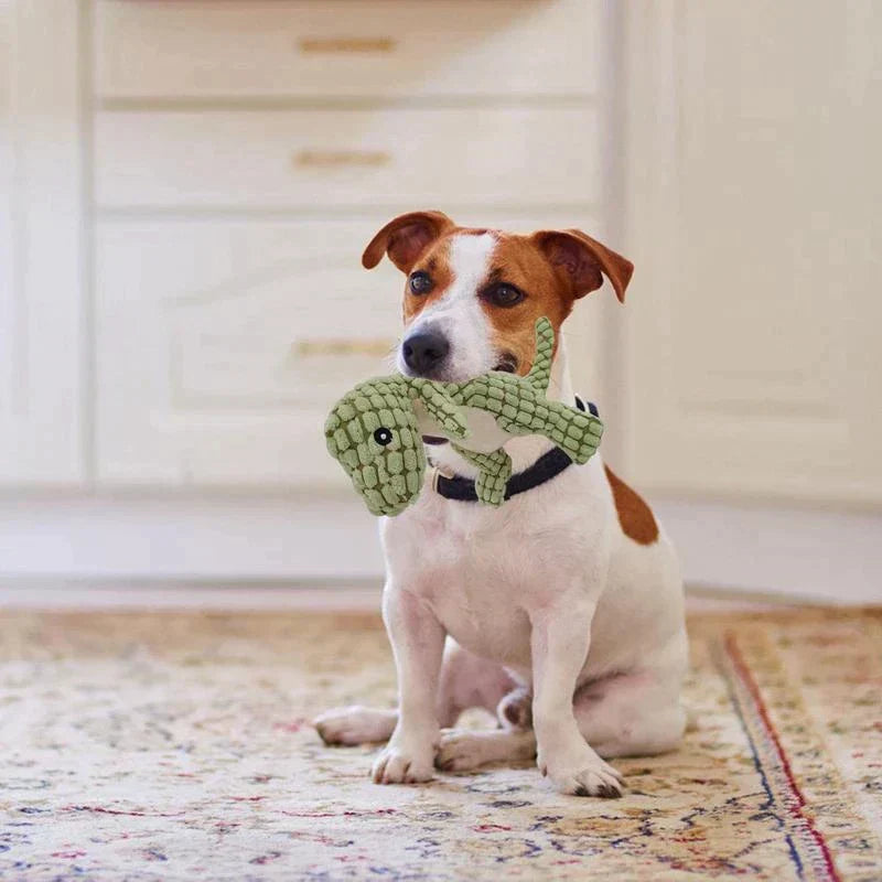 Hundeknuddler | Dino-Set Weich Langlebig Sicher Interaktiv Plüsch-Luzern Mode