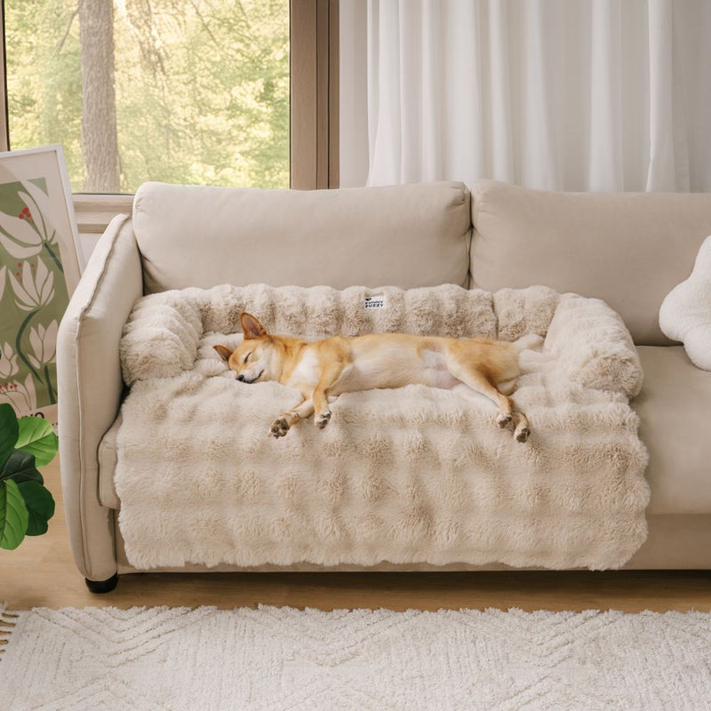 Hundebett | Vielseitig Weich Sofa Plüsch Komfortabel Langlebig Stilvoll-Khaki-S-Luzern Mode