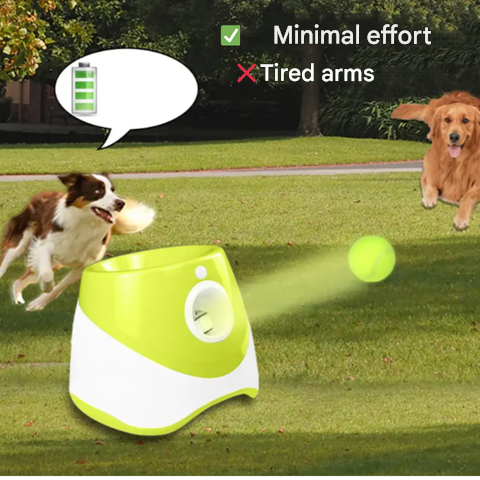 Apportierspielzeug | Hunde | Ballkanone | Automatisch | 3 Bälle-Luzern Mode