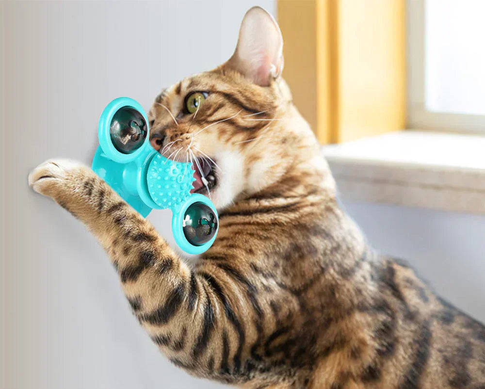 Katzenspielzeug | Katzenminze-Ball Drehend Interaktiv Langlebig-Luzern Mode
