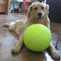 Hunde Tennisball | XXL 24 CM Strapazierfähig Spaß Haltbar Aufblasbar-Luzern Mode