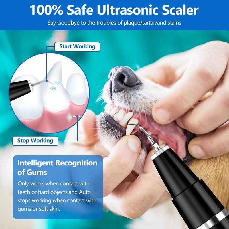 Hunde Zahnsteinentferner | Ultraschall Zahnpflege Sanft Haltbar-Luzern Mode