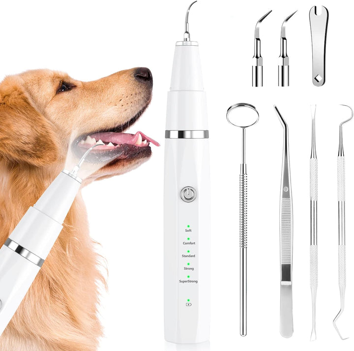 Hunde Zahnsteinentferner | Ultraschall Zahnpflege Sanft Haltbar-Weiß-Luzern Mode