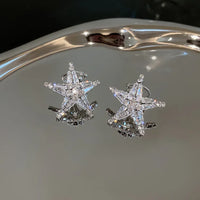 Silberne Stern-Ohrringe | Zirkonia Stilvoll Einzigartig Vielseitig Langlebig-Ear Cuff-Luzern Mode